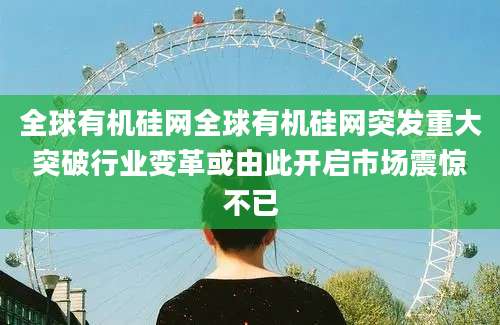 全球有机硅网全球有机硅网突发重大突破行业变革或由此开启市场震惊不已