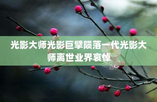 光影大师光影巨擘陨落一代光影大师离世业界哀悼