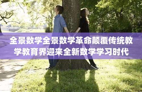 全景数学全景数学革命颠覆传统教学教育界迎来全新数学学习时代
