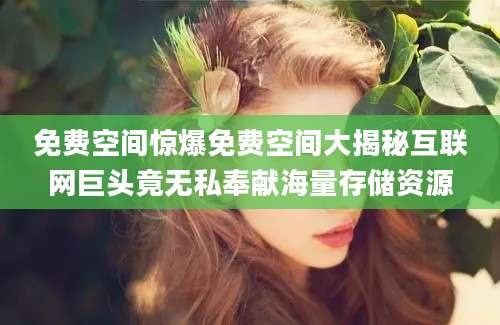 免费空间惊爆免费空间大揭秘互联网巨头竟无私奉献海量存储资源