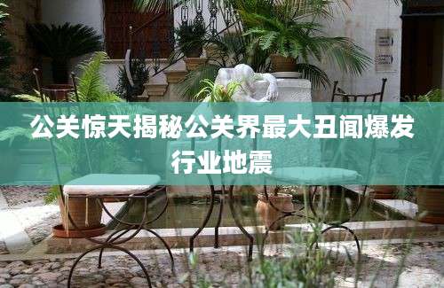 公关惊天揭秘公关界最大丑闻爆发行业地震