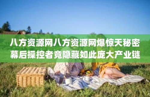 八方资源网八方资源网爆惊天秘密幕后操控者竟隐藏如此庞大产业链