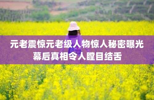 元老震惊元老级人物惊人秘密曝光幕后真相令人瞠目结舌
