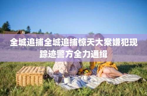全城追捕全城追捕惊天大案嫌犯现踪迹警方全力通缉