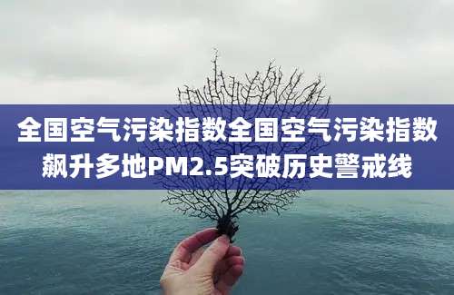 全国空气污染指数全国空气污染指数飙升多地PM2.5突破历史警戒线