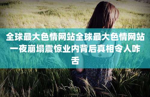 全球最大色情网站全球最大色情网站一夜崩塌震惊业内背后真相令人咋舌