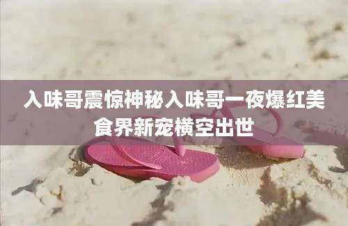 入味哥震惊神秘入味哥一夜爆红美食界新宠横空出世
