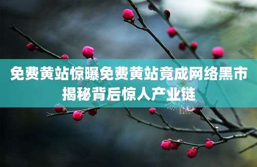 免费黄站惊曝免费黄站竟成网络黑市揭秘背后惊人产业链