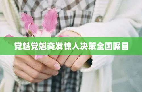党魁党魁突发惊人决策全国瞩目