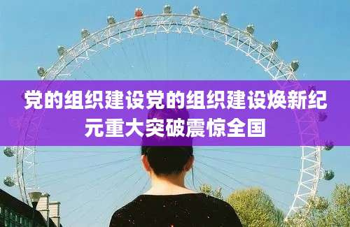 党的组织建设党的组织建设焕新纪元重大突破震惊全国