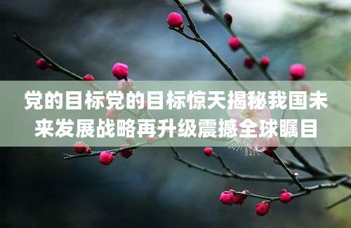 党的目标党的目标惊天揭秘我国未来发展战略再升级震撼全球瞩目