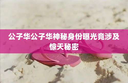 公子华公子华神秘身份曝光竟涉及惊天秘密