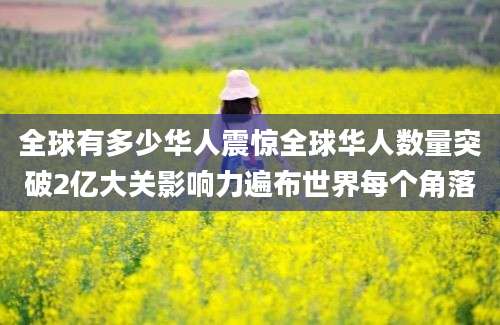 全球有多少华人震惊全球华人数量突破2亿大关影响力遍布世界每个角落