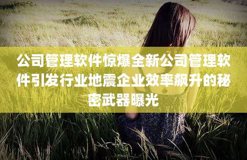 公司管理软件惊爆全新公司管理软件引发行业地震企业效率飙升的秘密武器曝光