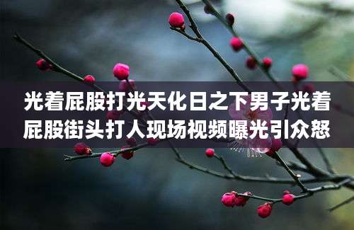 光着屁股打光天化日之下男子光着屁股街头打人现场视频曝光引众怒