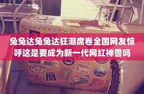 兔兔达兔兔达狂潮席卷全国网友惊呼这是要成为新一代网红神兽吗
