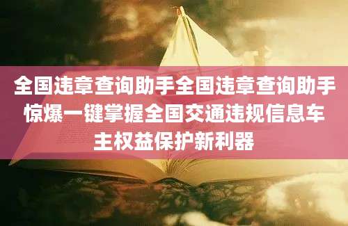 全国违章查询助手全国违章查询助手惊爆一键掌握全国交通违规信息车主权益保护新利器