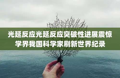 光延反应光延反应突破性进展震惊学界我国科学家刷新世界纪录
