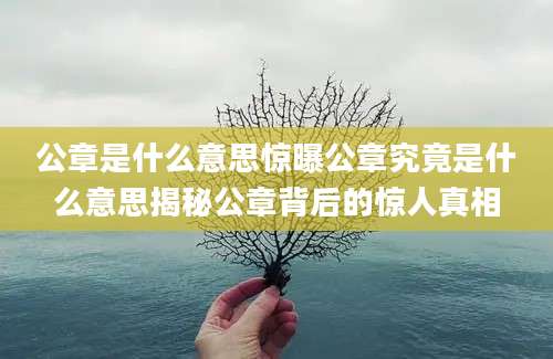 公章是什么意思惊曝公章究竟是什么意思揭秘公章背后的惊人真相