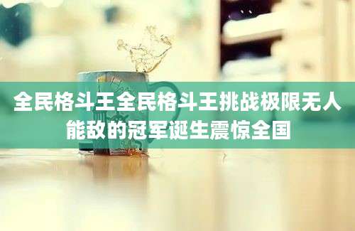 全民格斗王全民格斗王挑战极限无人能敌的冠军诞生震惊全国