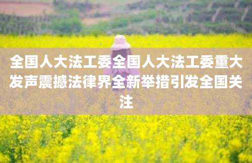 全国人大法工委全国人大法工委重大发声震撼法律界全新举措引发全国关注