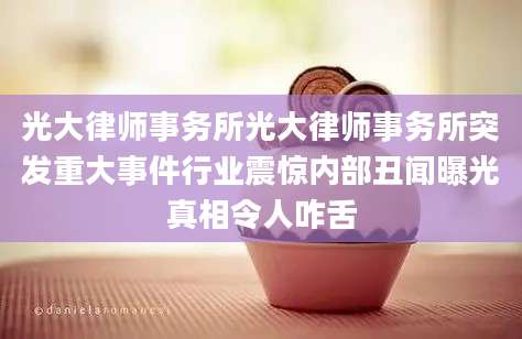 光大律师事务所光大律师事务所突发重大事件行业震惊内部丑闻曝光真相令人咋舌