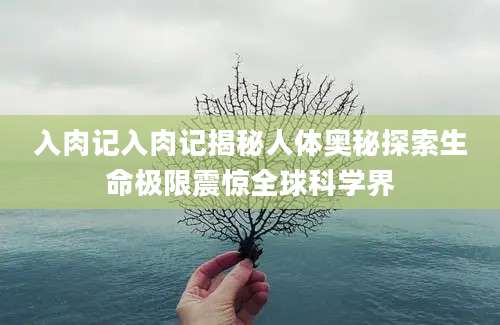 入肉记入肉记揭秘人体奥秘探索生命极限震惊全球科学界