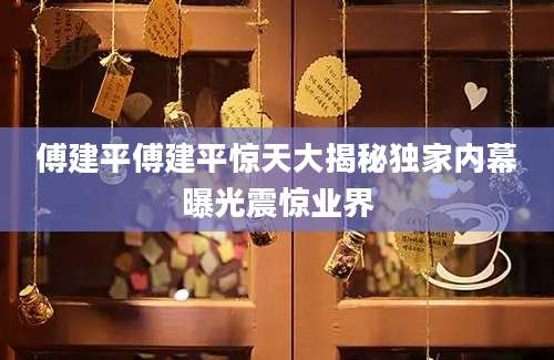 傅建平傅建平惊天大揭秘独家内幕曝光震惊业界