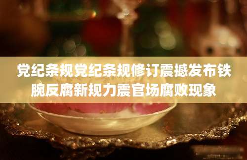 党纪条规党纪条规修订震撼发布铁腕反腐新规力震官场腐败现象