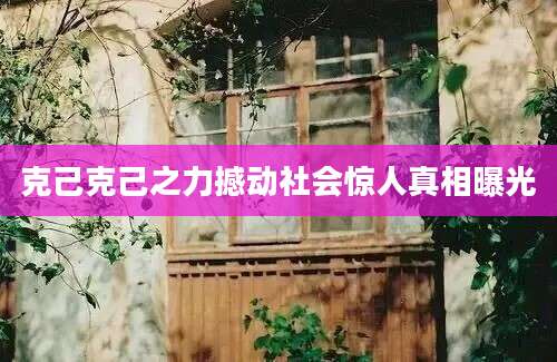 克己克己之力撼动社会惊人真相曝光