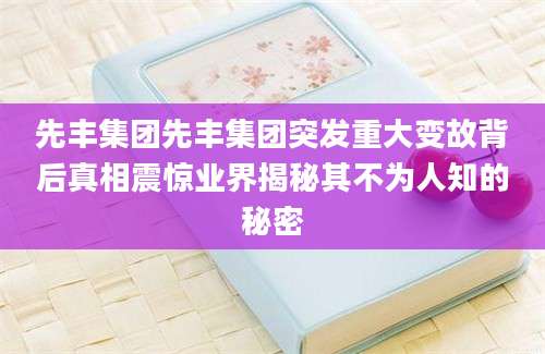 先丰集团先丰集团突发重大变故背后真相震惊业界揭秘其不为人知的秘密