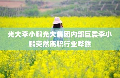 光大李小鹏光大集团内部巨震李小鹏突然离职行业哗然
