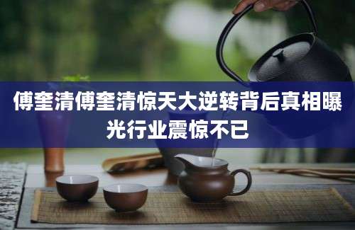 傅奎清傅奎清惊天大逆转背后真相曝光行业震惊不已