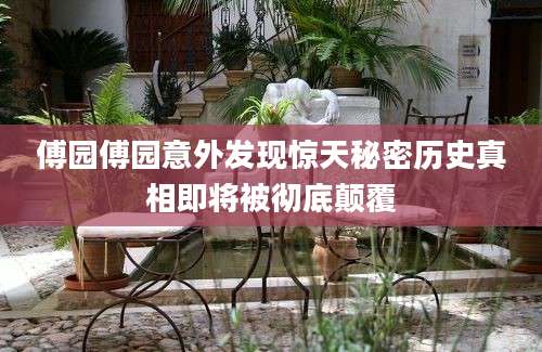 傅园傅园意外发现惊天秘密历史真相即将被彻底颠覆