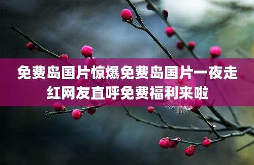 免费岛国片惊爆免费岛国片一夜走红网友直呼免费福利来啦