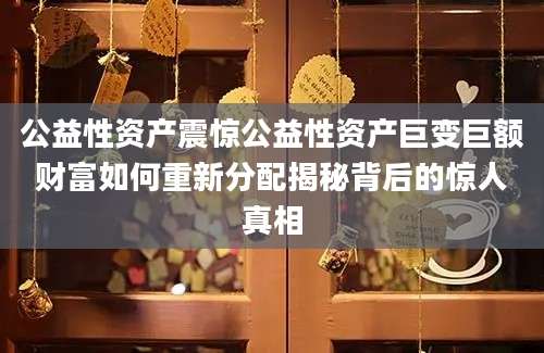 公益性资产震惊公益性资产巨变巨额财富如何重新分配揭秘背后的惊人真相