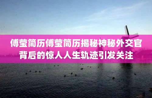 傅莹简历傅莹简历揭秘神秘外交官背后的惊人人生轨迹引发关注