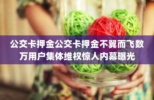 公交卡押金公交卡押金不翼而飞数万用户集体维权惊人内幕曝光