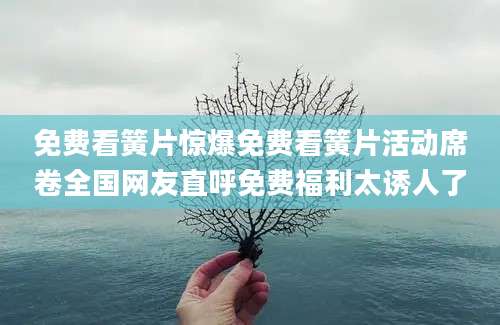 免费看簧片惊爆免费看簧片活动席卷全国网友直呼免费福利太诱人了