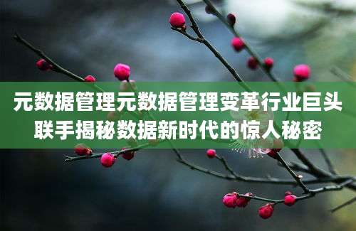 元数据管理元数据管理变革行业巨头联手揭秘数据新时代的惊人秘密