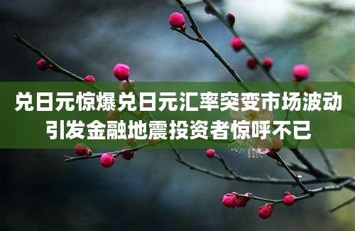 兑日元惊爆兑日元汇率突变市场波动引发金融地震投资者惊呼不已