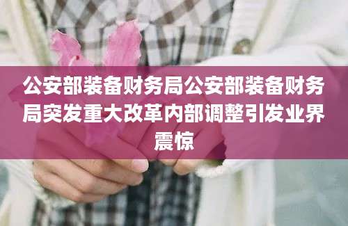 公安部装备财务局公安部装备财务局突发重大改革内部调整引发业界震惊