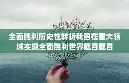 全面胜利历史性转折我国在重大领域实现全面胜利世界瞩目瞩目