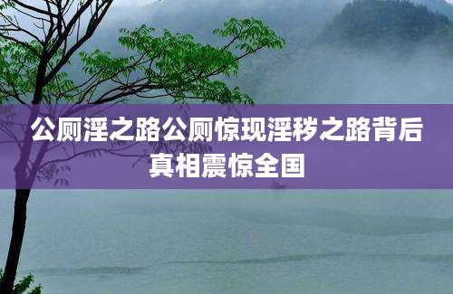 公厕淫之路公厕惊现淫秽之路背后真相震惊全国