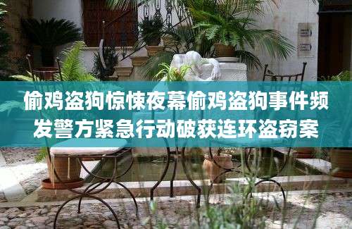偷鸡盗狗惊悚夜幕偷鸡盗狗事件频发警方紧急行动破获连环盗窃案