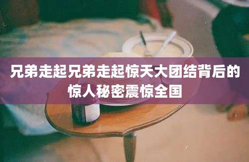 兄弟走起兄弟走起惊天大团结背后的惊人秘密震惊全国