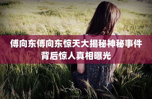 傅向东傅向东惊天大揭秘神秘事件背后惊人真相曝光