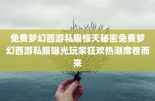 免费梦幻西游私服惊天秘密免费梦幻西游私服曝光玩家狂欢热潮席卷而来