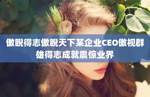 傲睨得志傲睨天下某企业CEO傲视群雄得志成就震惊业界