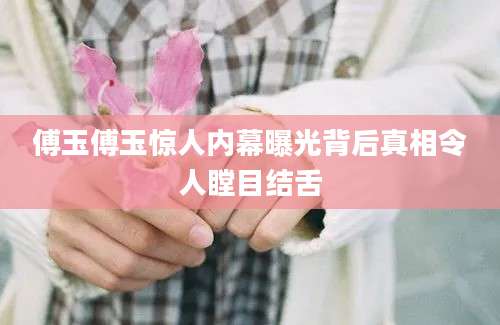 傅玉傅玉惊人内幕曝光背后真相令人瞠目结舌